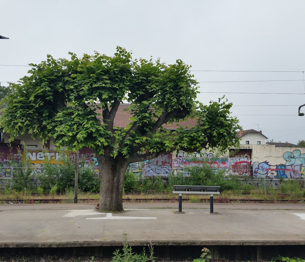 Toutes les sorties plannifiées 4