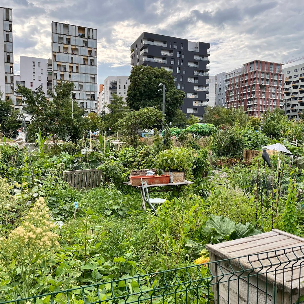 Jardins partagés du Grand Parc des Docks de Saint-Ouen 1