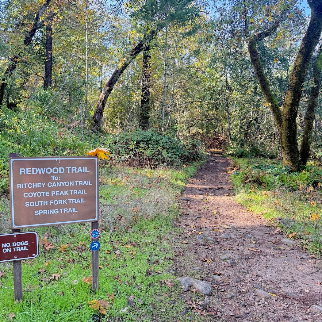 EcoFitness Hike 3
