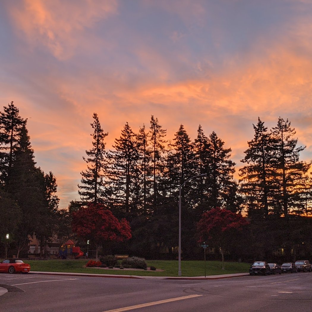 Cannery Park 1
