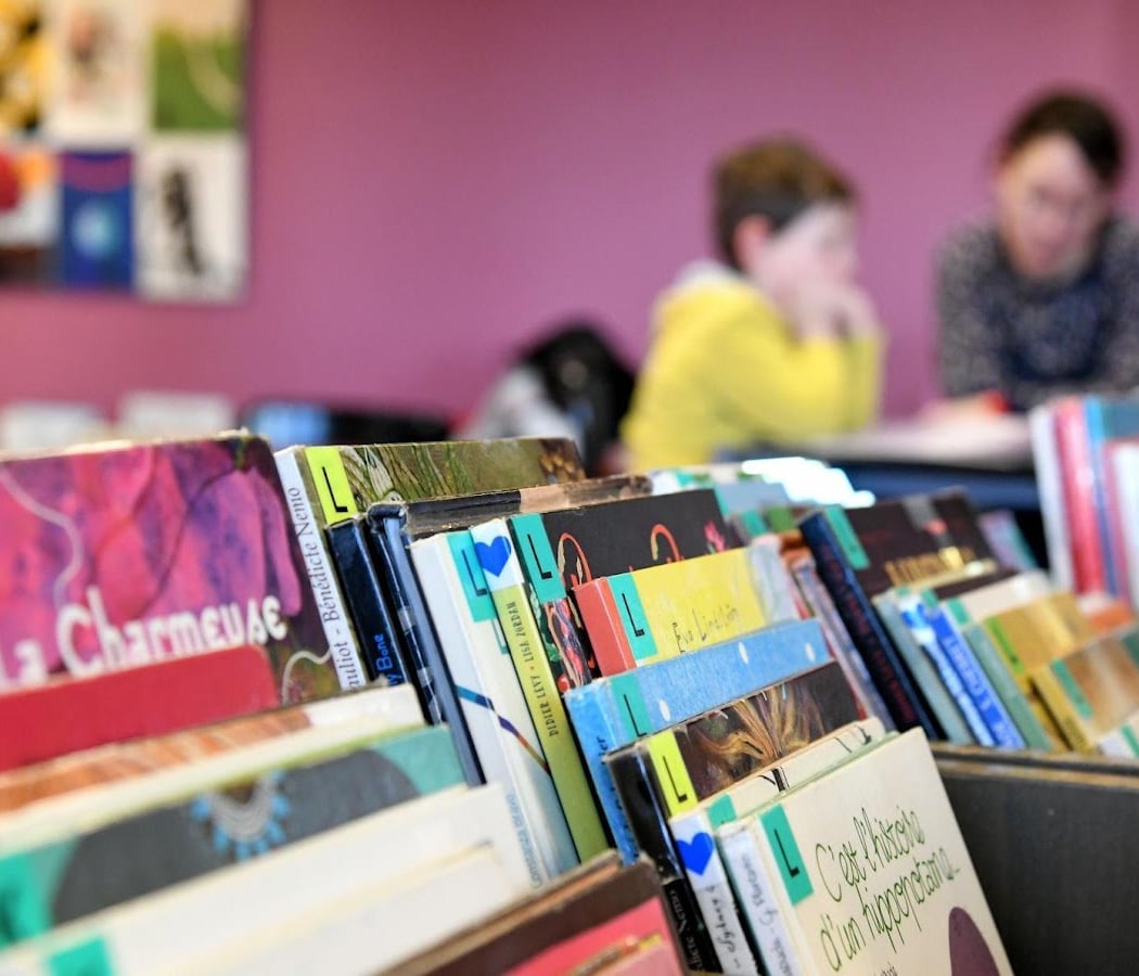 SOS livres numériques 1