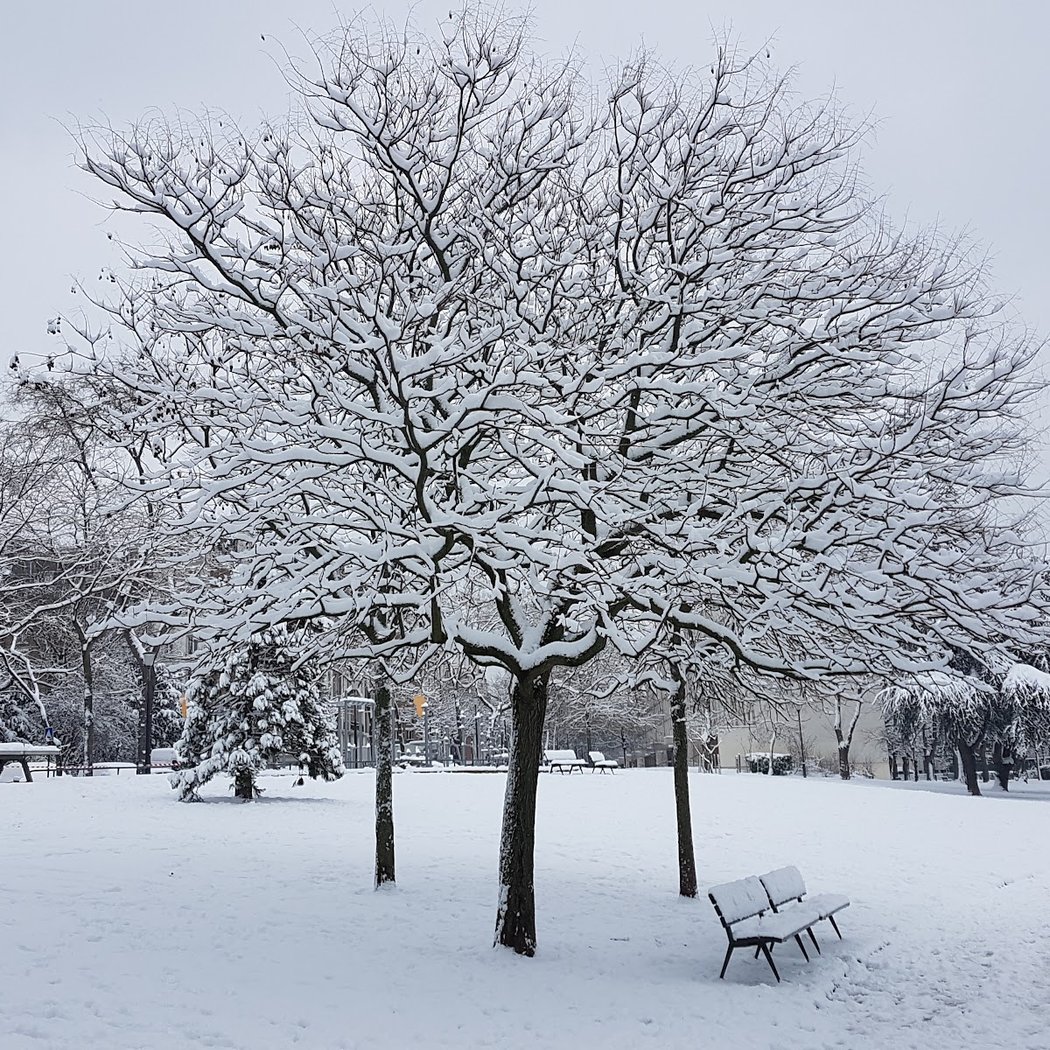 Jardin d'immeubles Albert-Bartholomé 1