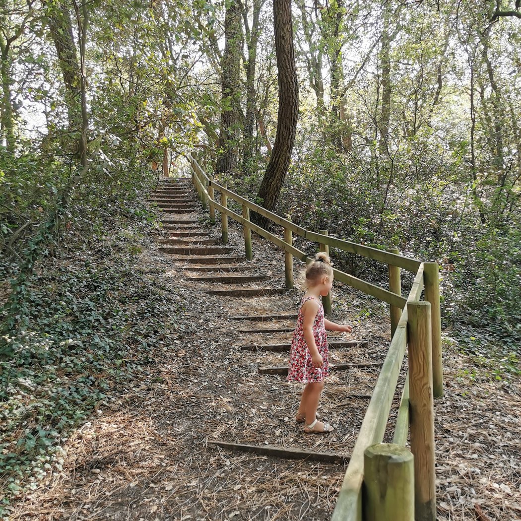Contes de Bretagne et d'ailleurs au Bois Roy 1