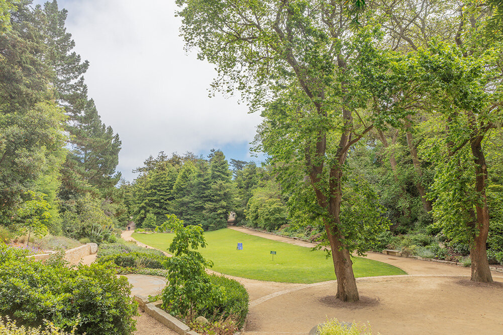 Golden Gate Park: Our Urban Eden 1