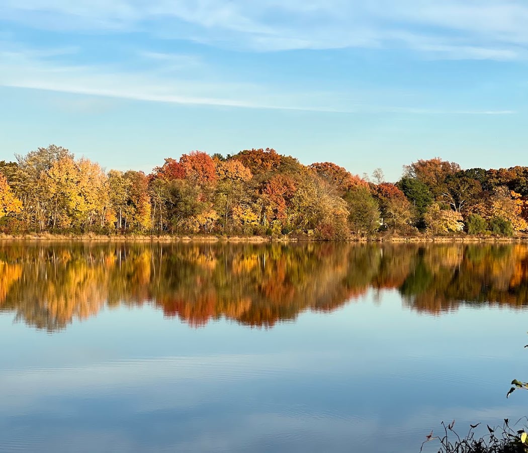 Thompson Park 1