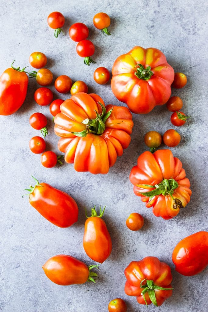 Tomato Tasting 2