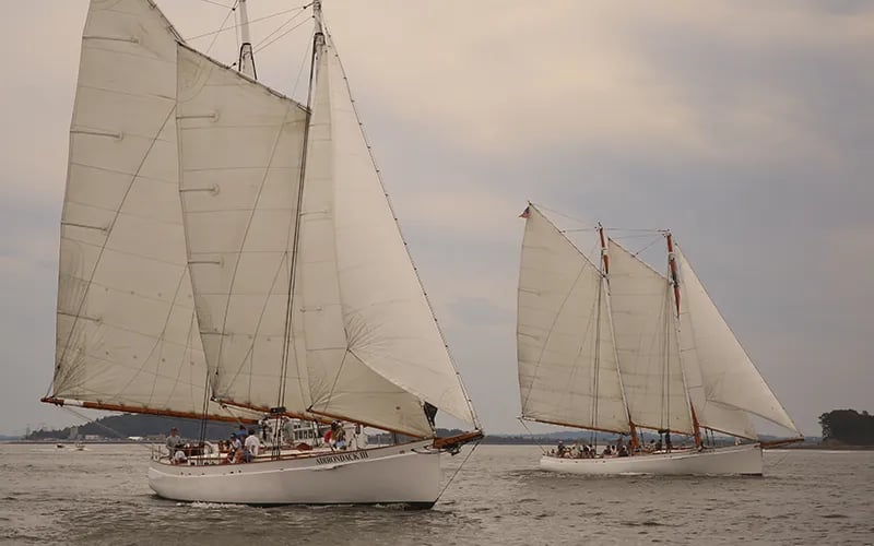 Sail Boston 250 Day Sail 2