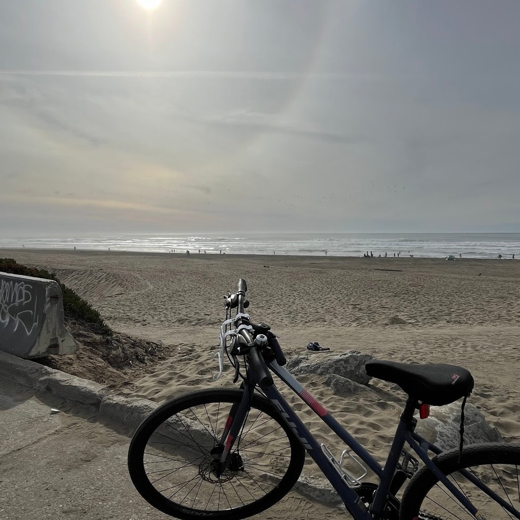 The Bike Hut 3