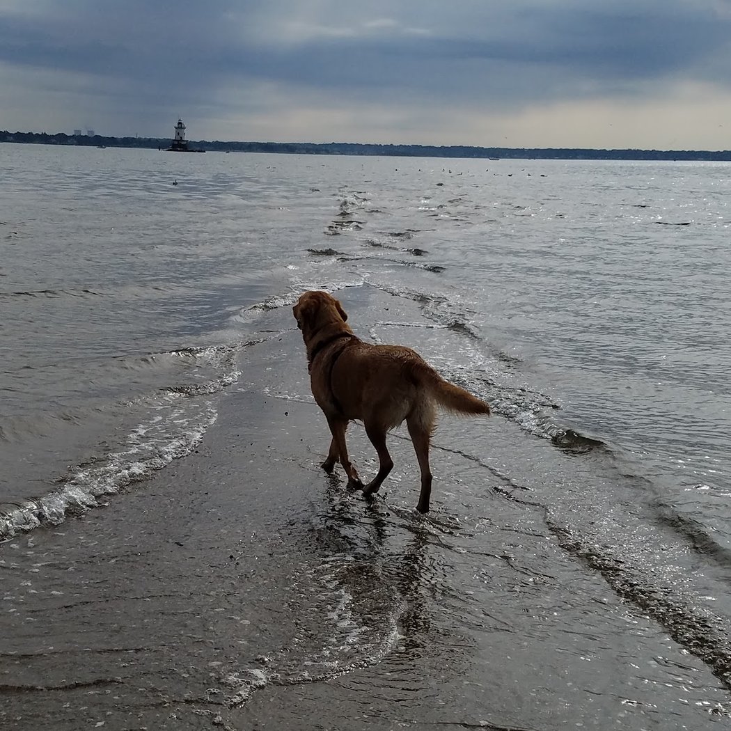 Conimicut Point Park 1