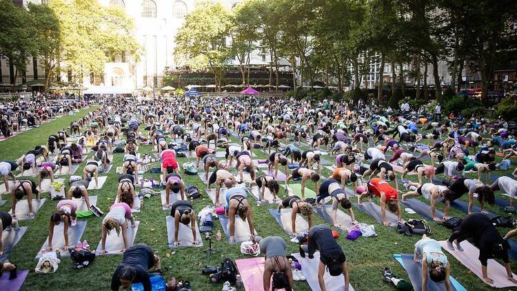 Free Yoga Series 1