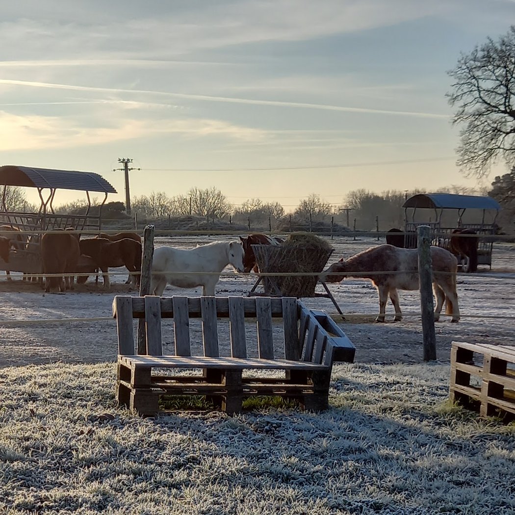 FERME EQUESTRE SESAME SERVICES 3
