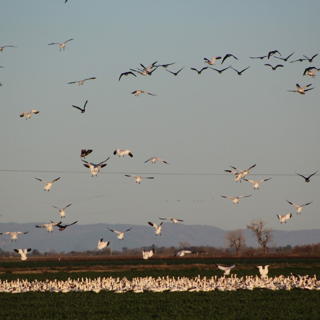 Woodbridge Ecological Reserve - South Unit 3