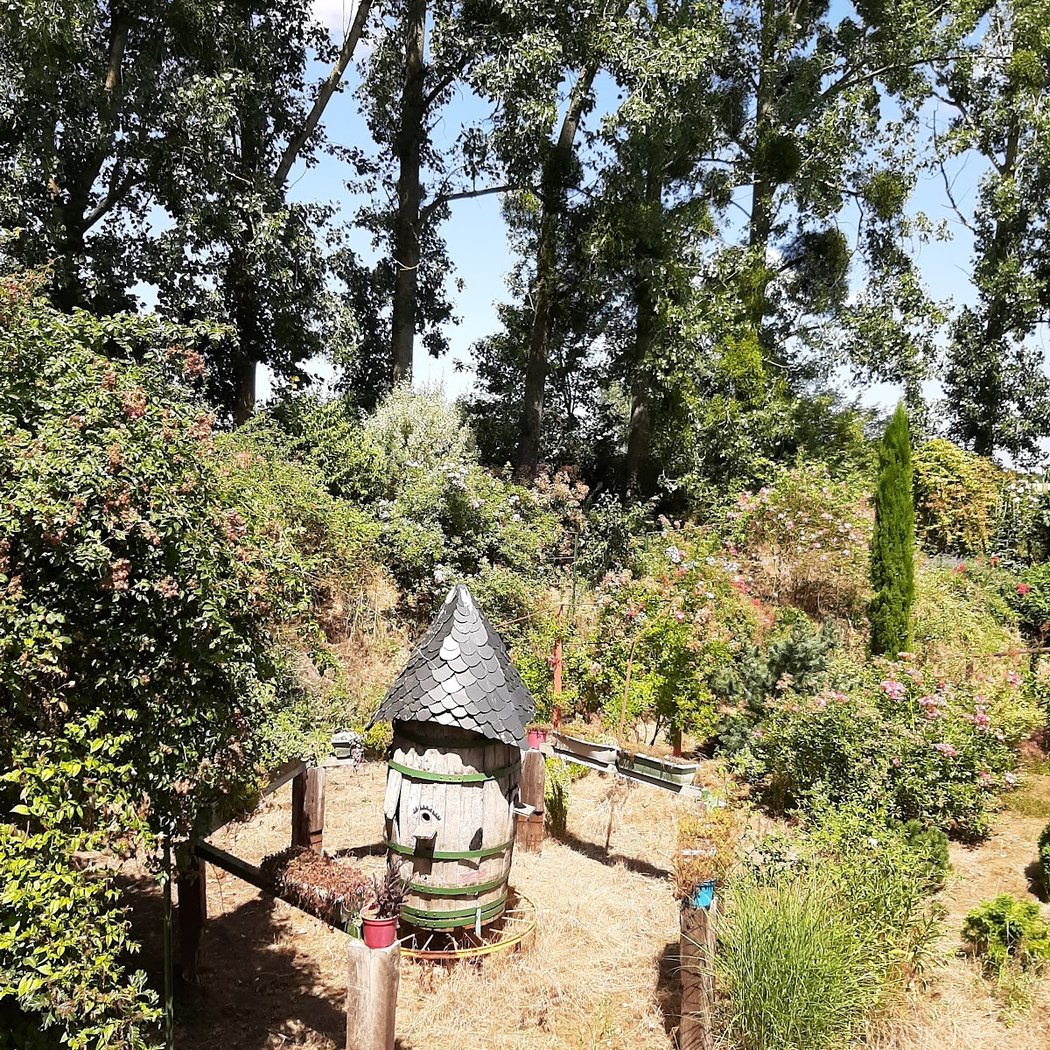 Jardin Philadelphus de M. Nuisement 2