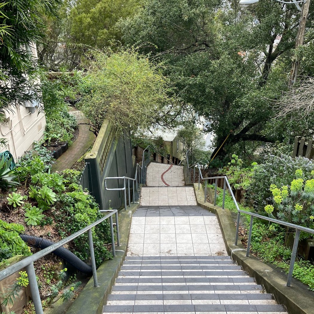 Hidden Garden Steps 3