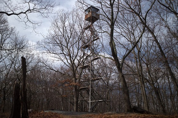 Jackie Jones Fire Tower 4