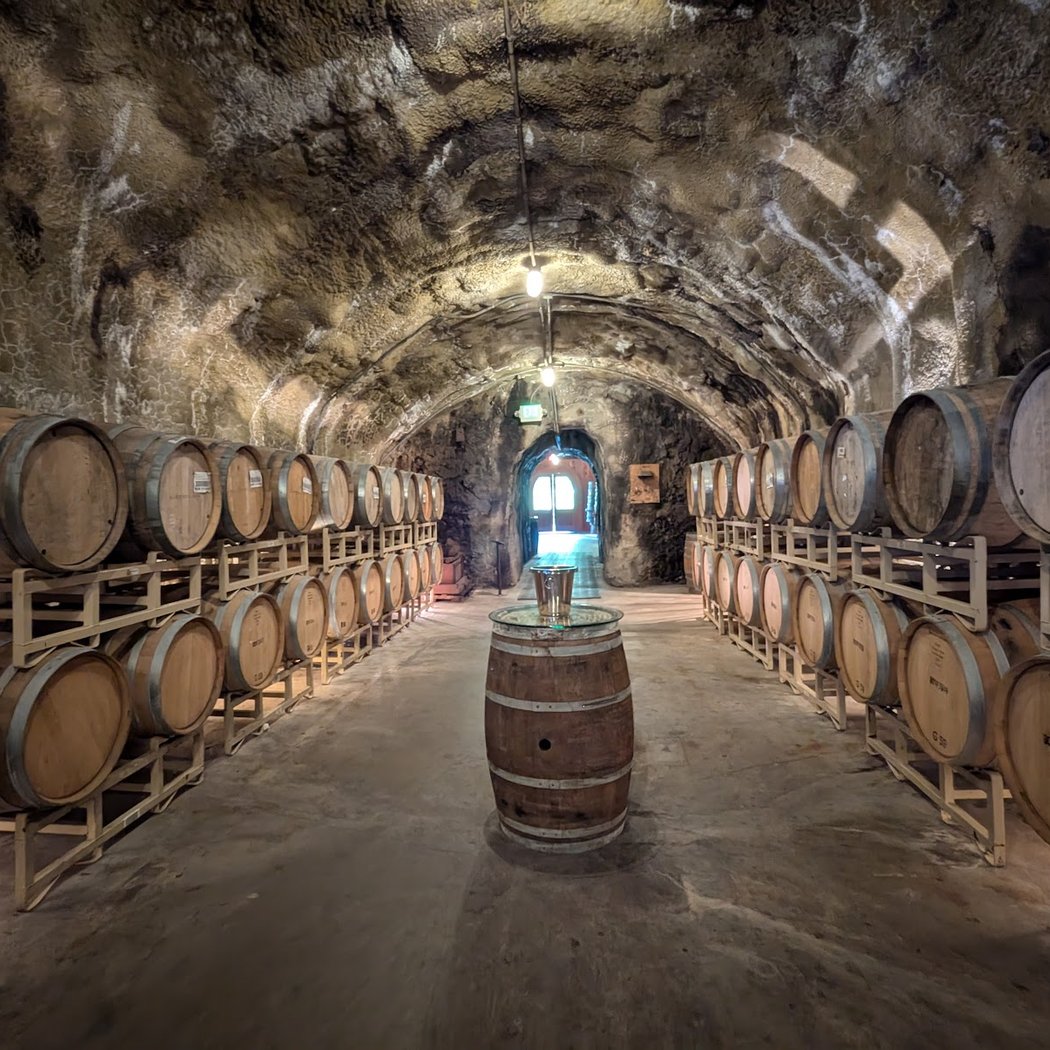 From Vineyard to Glass 4
