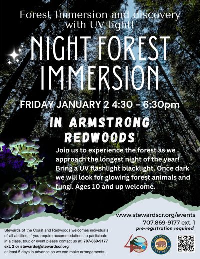 Night Forest Immersion Walk with UV lights 1