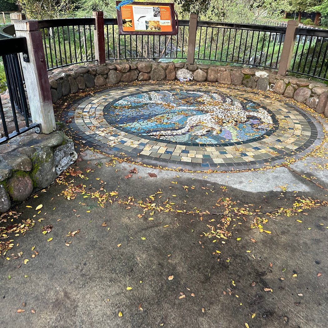 Santa Rosa Creek Culvert 2
