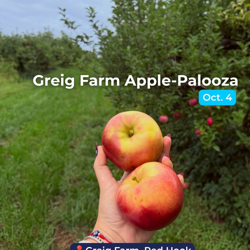 Greig Farm Apple-Palooza 1