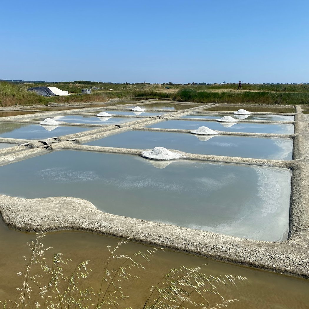Desmars Salants Emilie Paludiere À Guerande 2