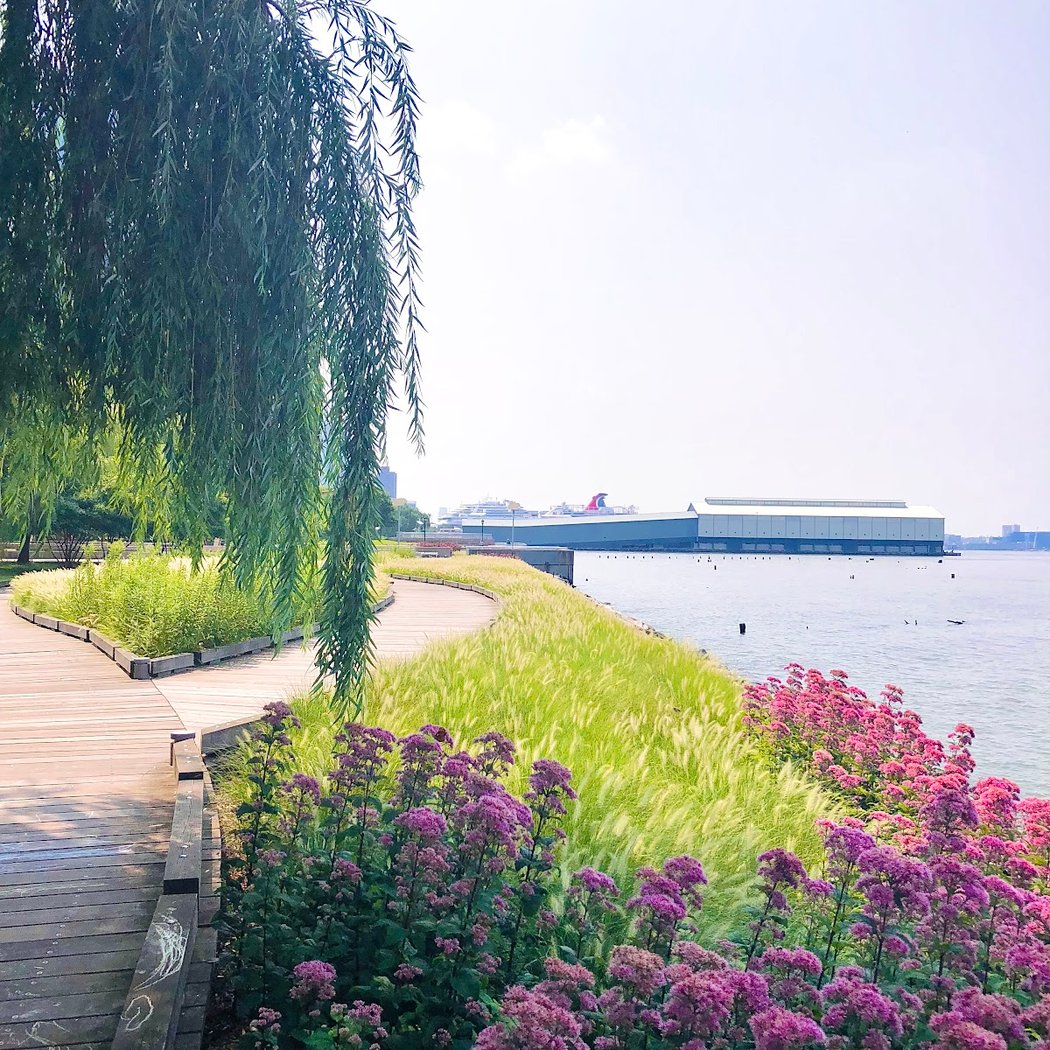 Riverside Park's Summer-on-the-Hudson series 1