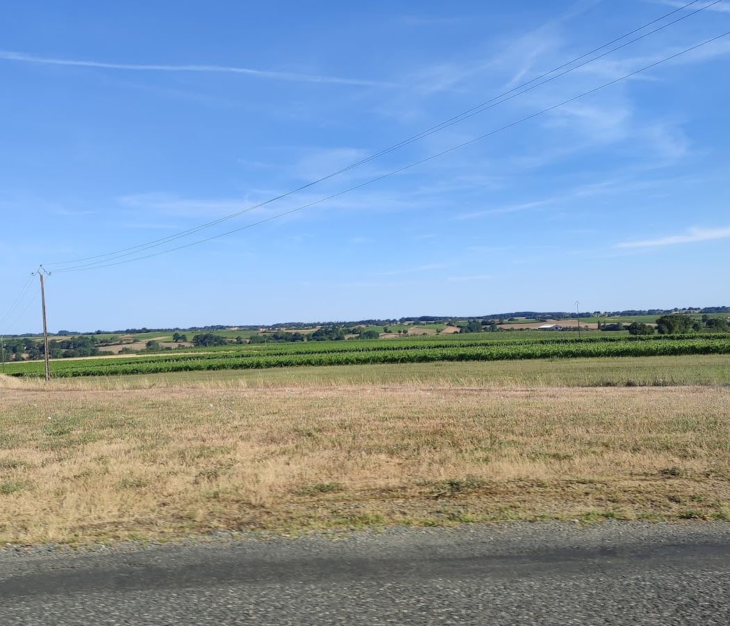 SCEA la Ferté - Viticulteur 3