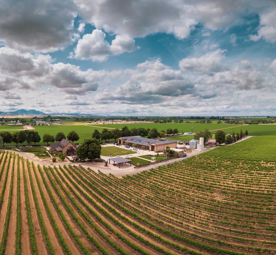 Campos Family Vineyards 2