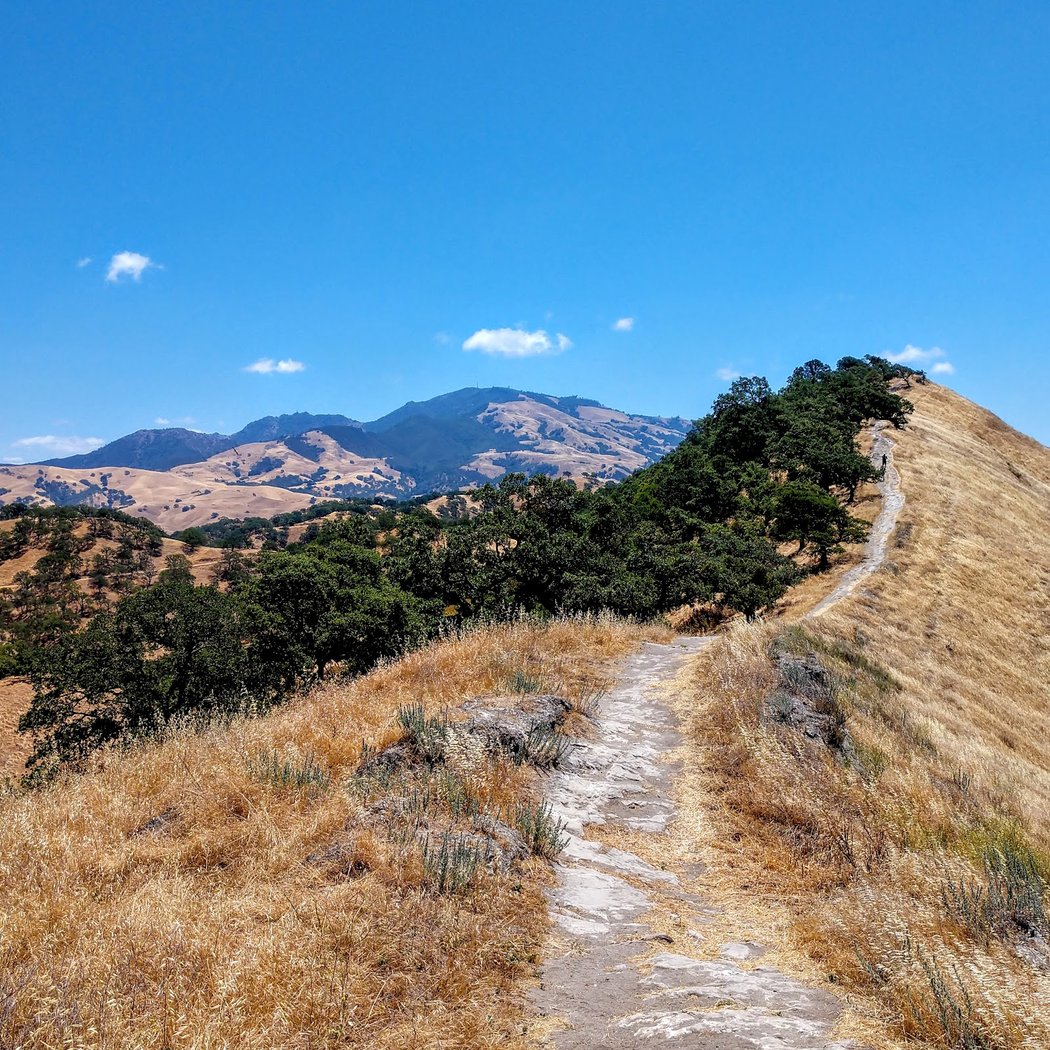 Shell Ridge Trail 2