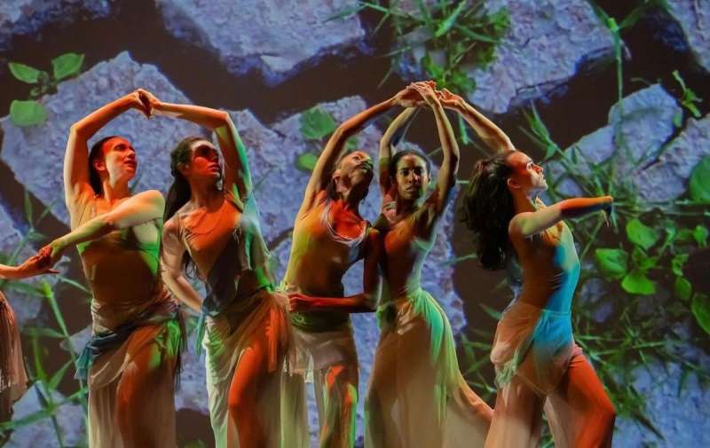 Contemporary Dance: Dancing for the Wild 1