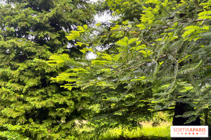Arboretum de La Roche-Guyon 1