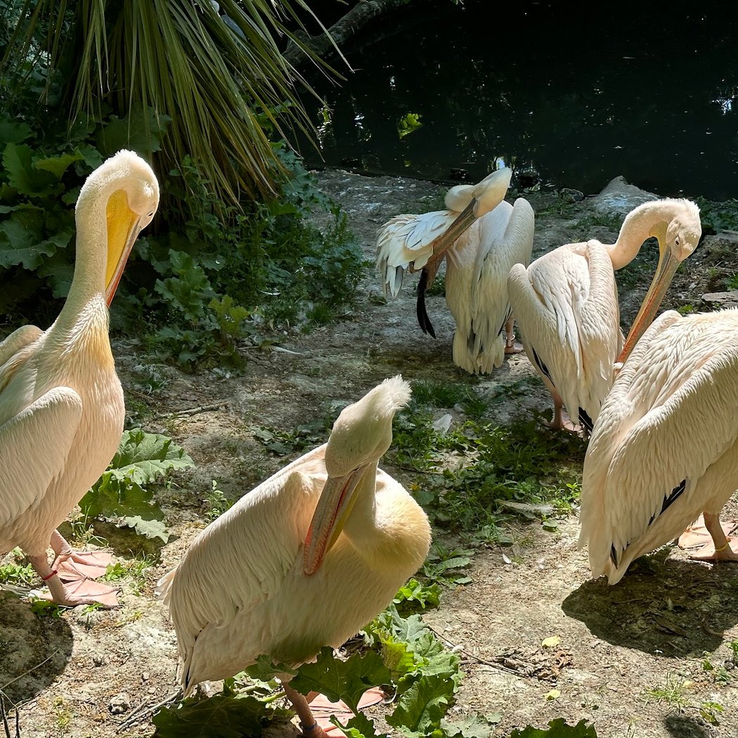 Zoo Amiens Métropole 3