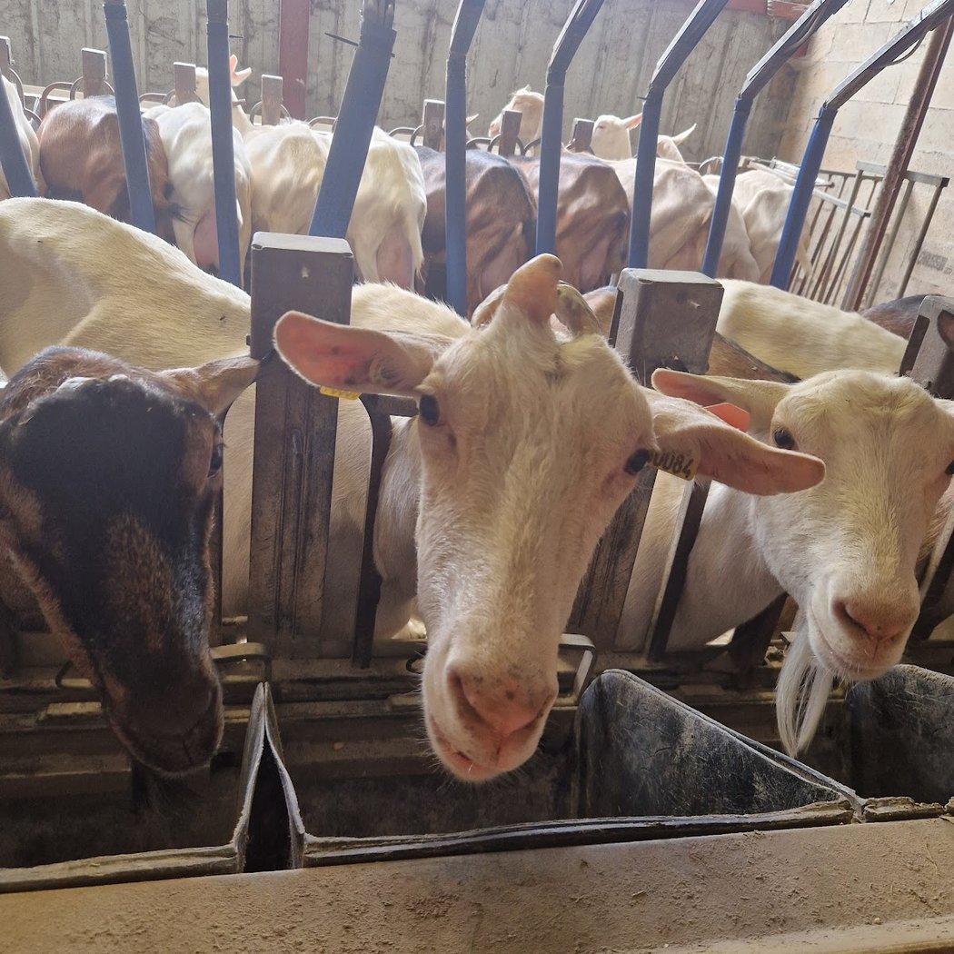 Ferme Landes 3