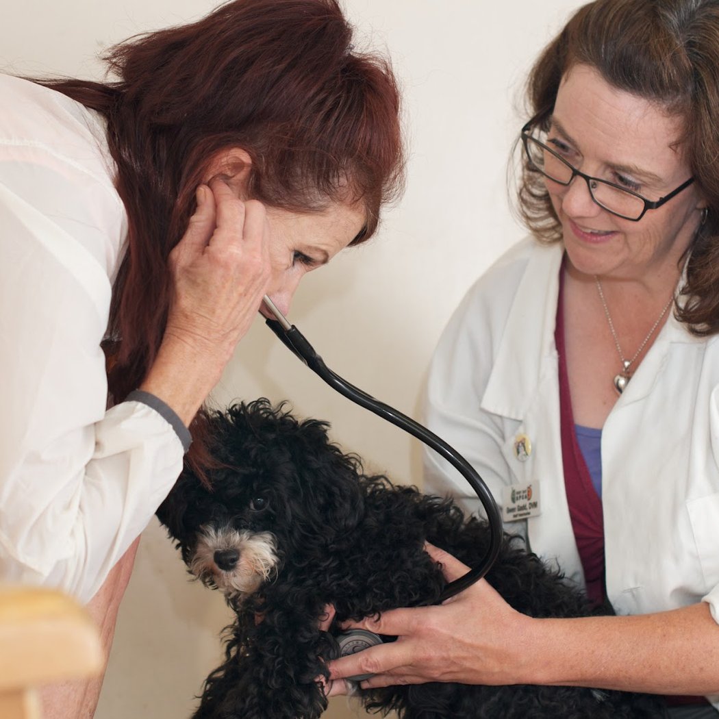 East Bay SPCA Theodore B. Travers Veterinary Clinic 1