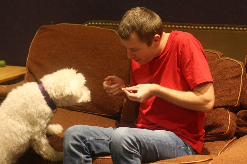 The Curious Incident of the Dog in the Night-Time 2