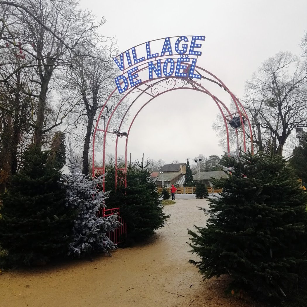 Fête Foraine d'hiver 2