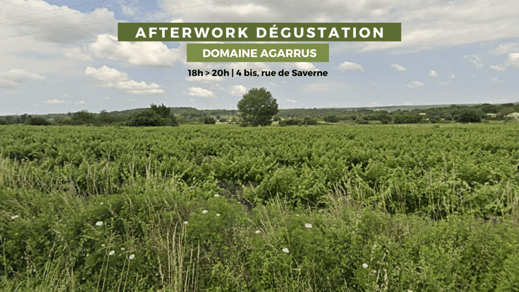 Dégustation autour des vins de Serge 1