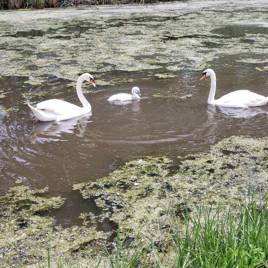 Lake St. Clair Metropark Nature Center 1