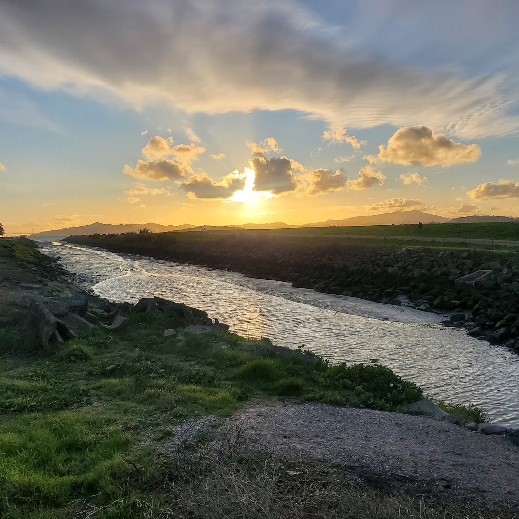 Point Isabel Dog Park 3