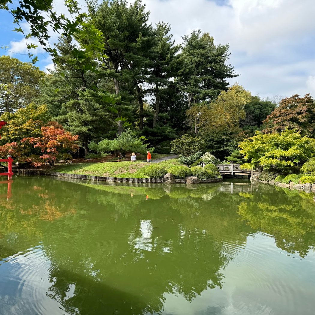 Hanami Nights 5
