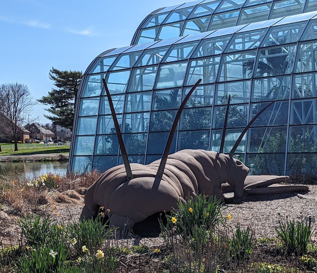 Sophia M. Sachs Butterfly House 3
