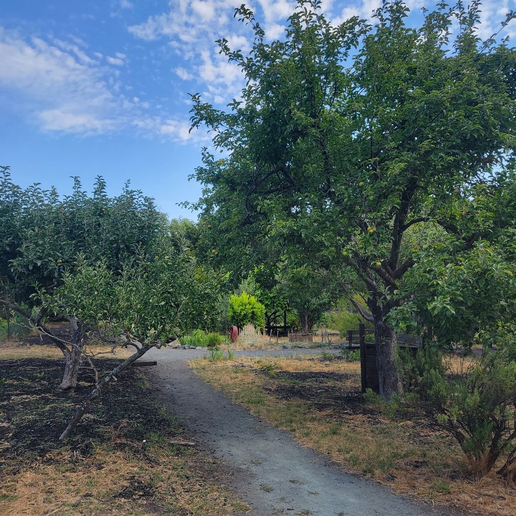 Crow Canyon Gardens 2