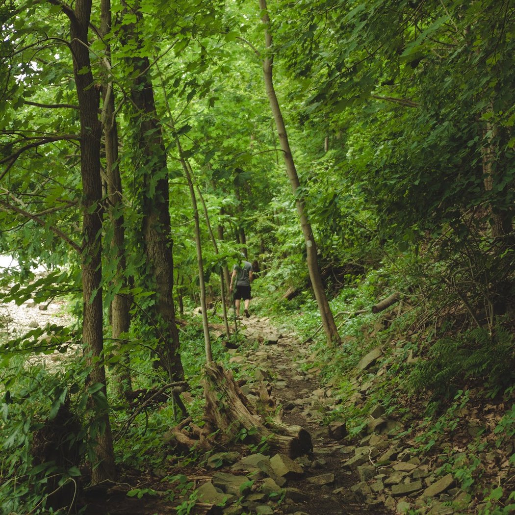 The Palisades 4