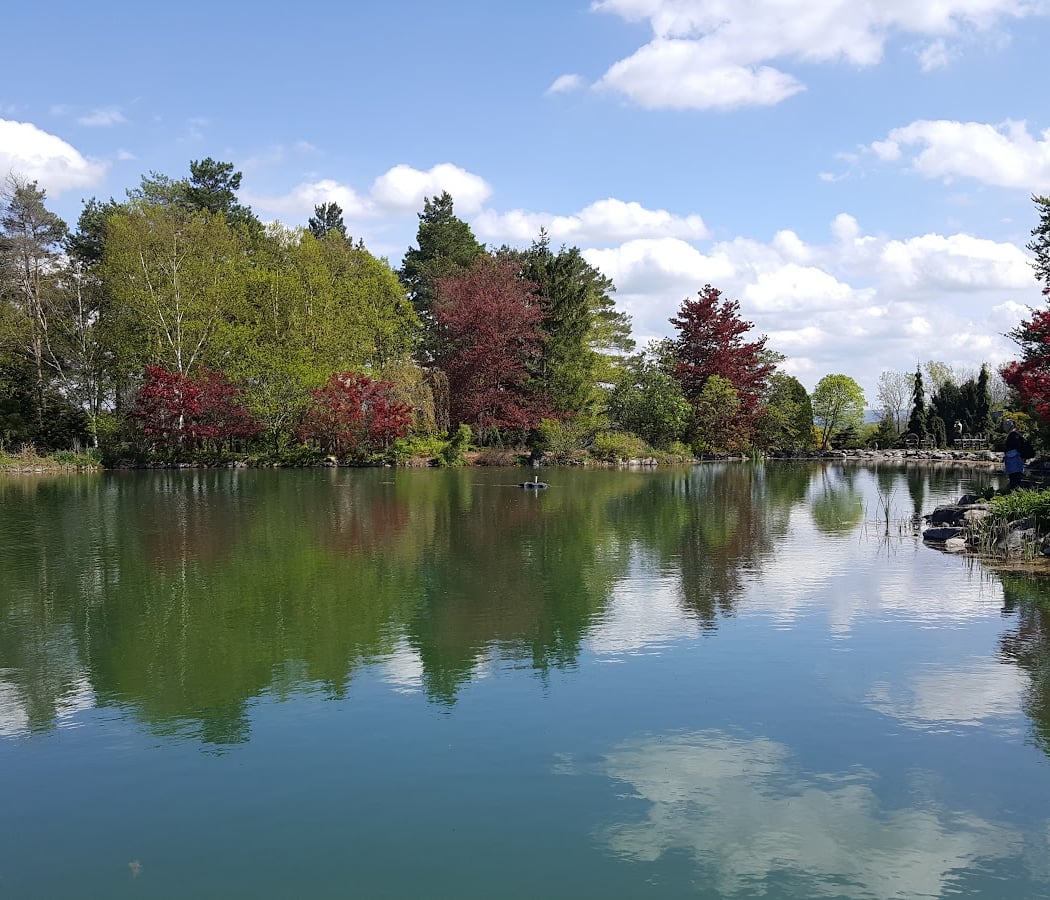 Sycamore Hill Gardens 3