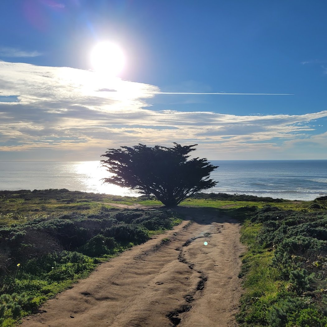 Bluff Trail 1