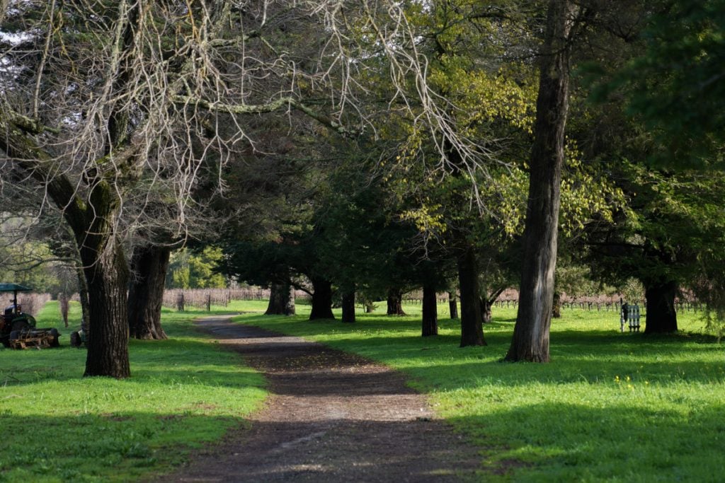 Bartholomew Park 2