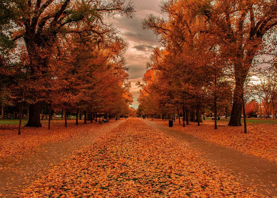 Self-Guided: Autumn Colors 2