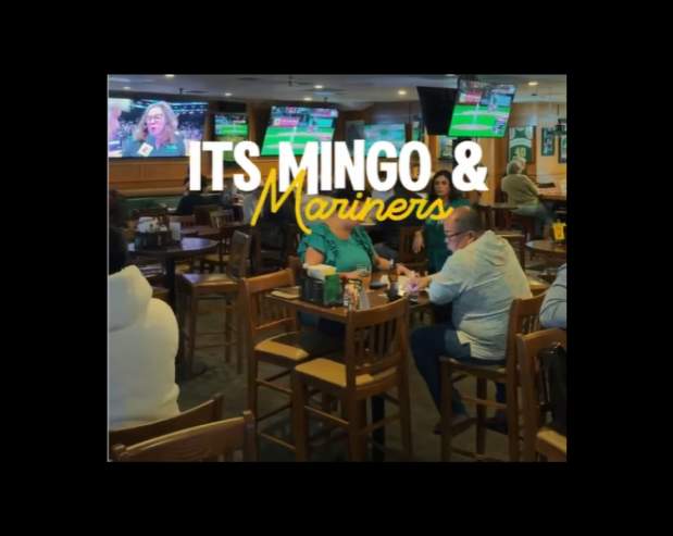 MINGO 1