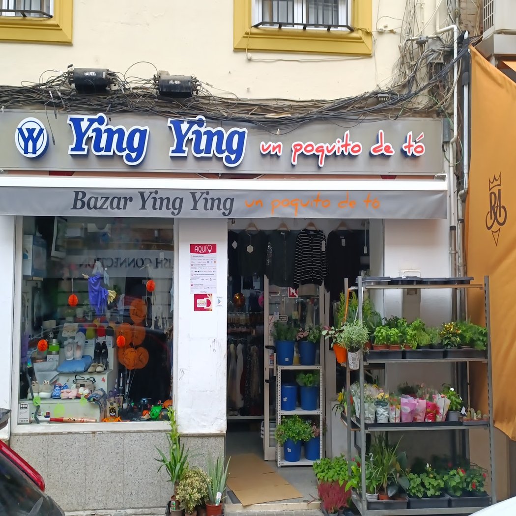 Bazar Ying Ying "un poquito de tó" 2