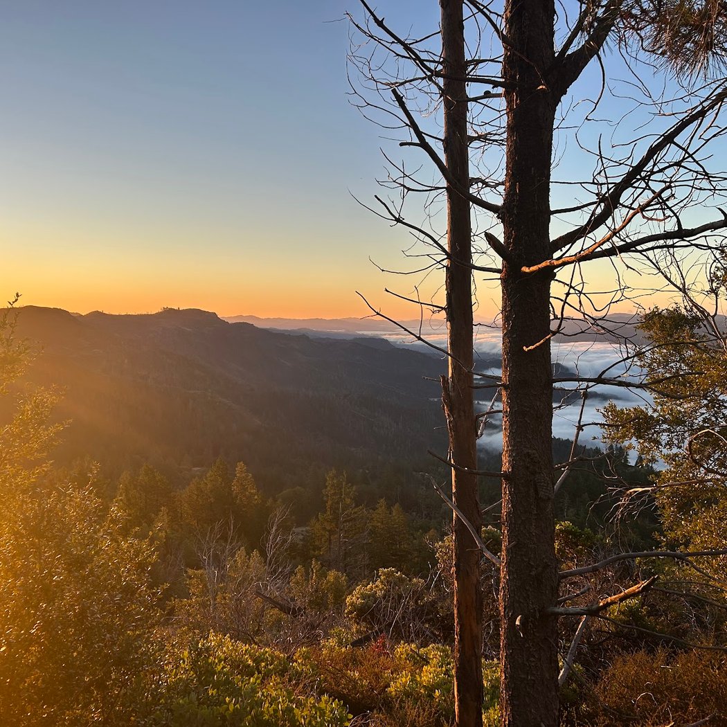 Mt. St. Helena Trailhead 1