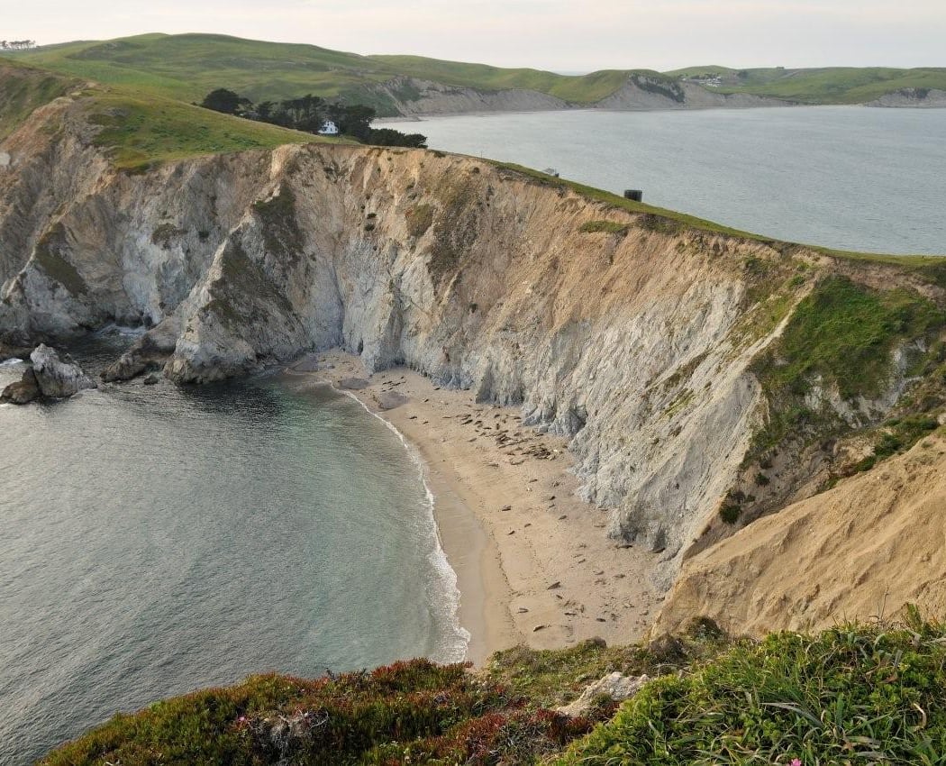 Point Reyes Birding & Nature Festival 2